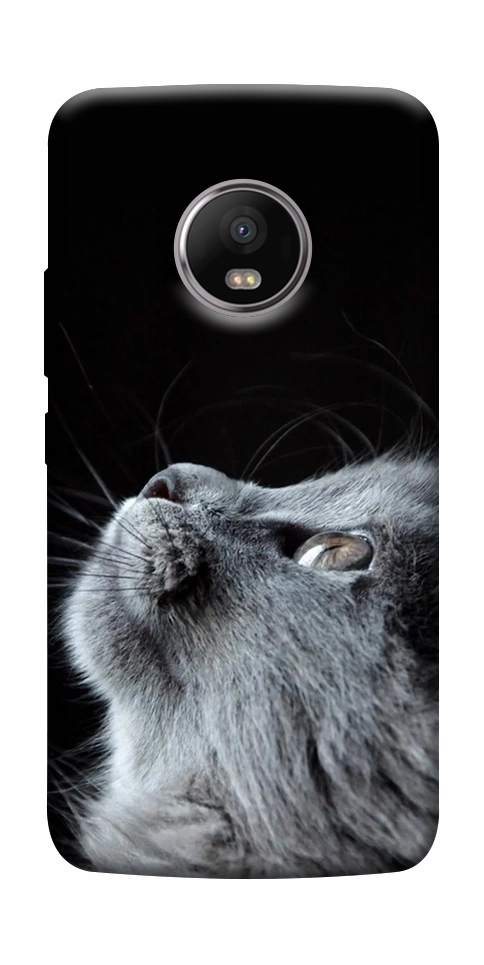 Чохол Cute cat для Motorola Moto G5S