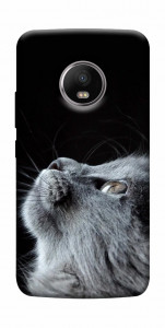 Чехол Cute cat для Motorola Moto G5S