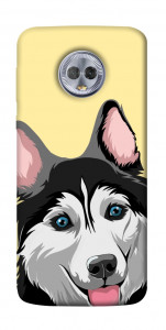 Чехол Husky dog для Motorola Moto G6 Plus