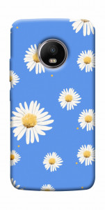 Чехол Chamomile pattern для Motorola Moto G5S