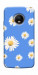 Чохол Chamomile pattern для Motorola Moto G5S