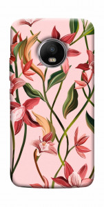 Чехол Floral motifs для Motorola Moto G5S