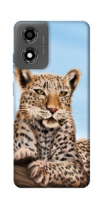 Чохол Proud leopard для Motorola Moto E14