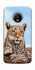 Чехол Proud leopard для Motorola Moto G5S