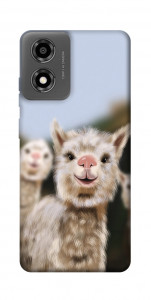 Чохол Funny llamas для Motorola Moto E14