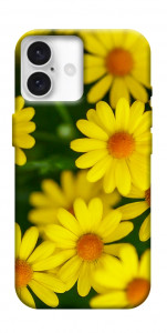 Чехол Yellow chamomiles для iPhone 16