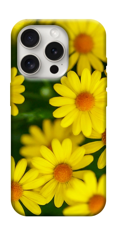 Чохол Yellow chamomiles для iPhone 16 Pro Max