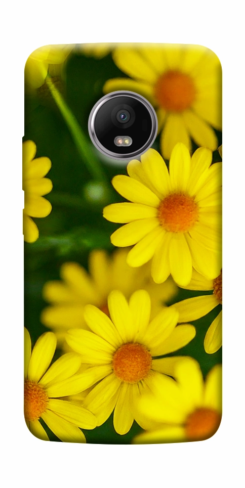 Чохол Yellow chamomiles для Motorola Moto G5S