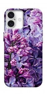 Чехол Violet blossoms для iPhone 16