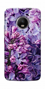 Чехол Violet blossoms для Motorola Moto G5S