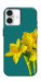 Чехол Golden Daffodil для iPhone 16