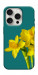 Чохол Golden Daffodil для iPhone 16 Pro