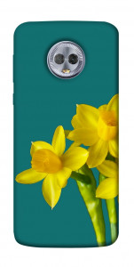 Чохол Golden Daffodil для Motorola Moto G6 Plus