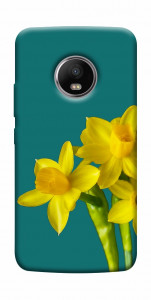 Чохол Golden Daffodil для Motorola Moto G5S