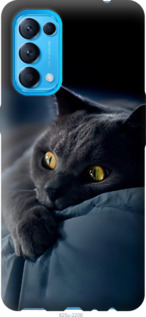 Чехол Дымчатый кот для Oppo Reno5