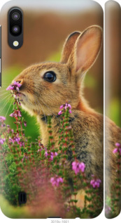 

Чохол Кролик і квіти на Samsung Galaxy M10 699655
