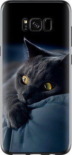 Чехол для Samsung Galaxy S8 Димчастий кіт (Сірий)
