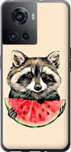 Чехол для OnePlus Ace Енотик с арбузом (Серый)