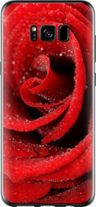 Чехол для Samsung Galaxy S8 Красная роза (Красный)