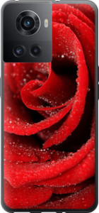 Чохол для OnePlus 10R Червона троянда (Червоний)