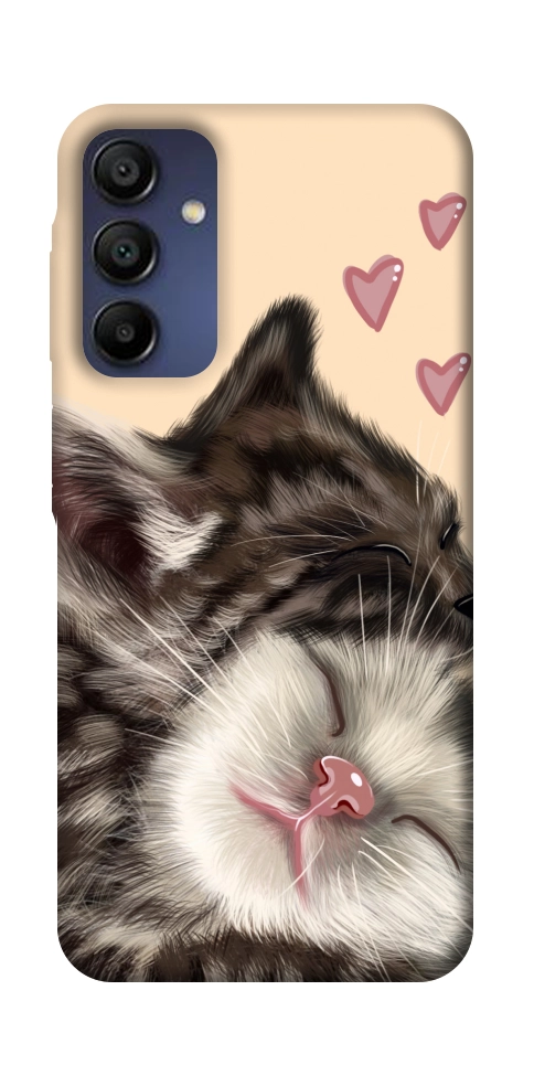 Чехол Cats love для Galaxy A16 5G