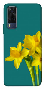 Чехол Golden Daffodil для Vivo Y53s