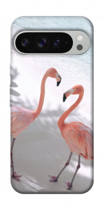 Чохол Flamingos для Google Pixel 9 Pro XL