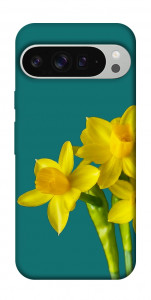 Чехол Golden Daffodil для Google Pixel 9 Pro XL