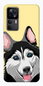 Чохол Husky dog для Xiaomi Redmi K50 Ultra