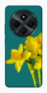 Чехол Golden Daffodil для  Xiaomi Poco C75