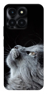 Чохол Cute cat для Huawei Honor X6a