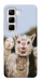 Чехол Funny llamas для Infinix Hot 50 4G