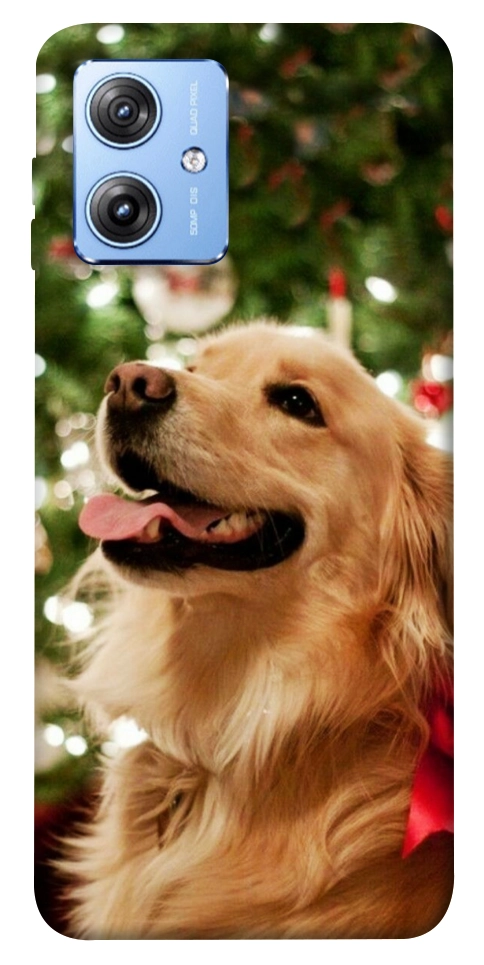 Чехол New year dog для Motorola Moto G84