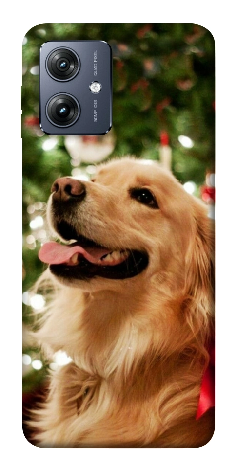 Чохол New year dog для Motorola Moto G54