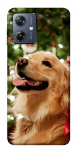 Чехол New year dog для Motorola Moto G54