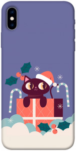 Чехол Christmas cat для iPhone X