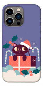 Чехол Christmas cat для iPhone 13 Pro