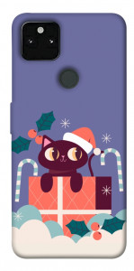 Чохол Christmas cat для Google Pixel 5A