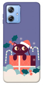 Чехол Christmas cat для Motorola Moto G84