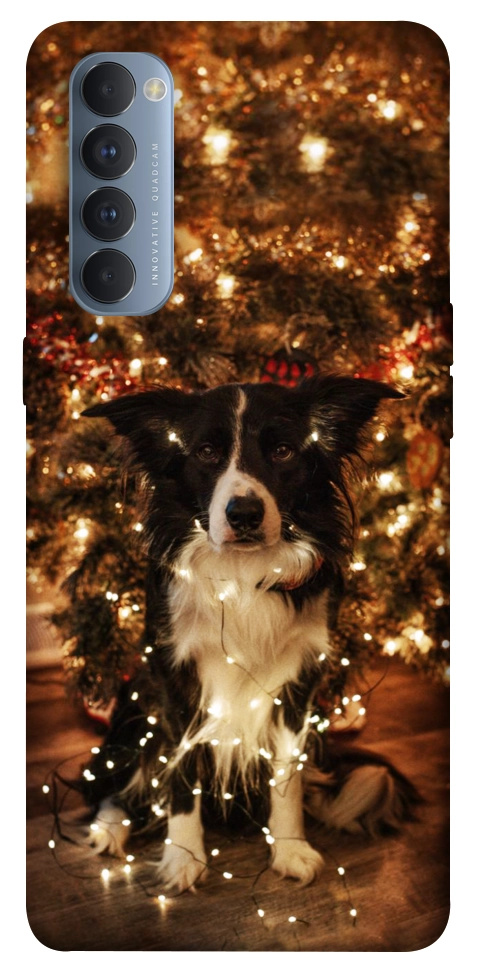 Чохол Christmas dog для Oppo Reno 4 Pro