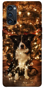 Чехол Christmas dog для Oppo Reno 4 Pro 5G