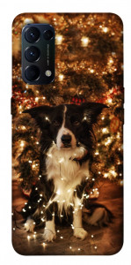 Чехол Christmas dog для Oppo Reno 5 4G