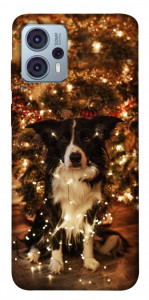 Чехол Christmas dog для Motorola Moto G23