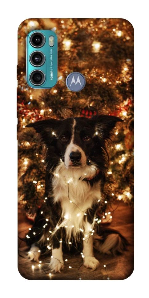 Чехол Christmas dog для Motorola Moto G60