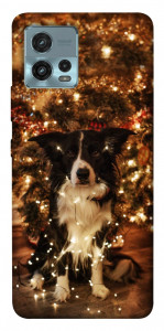 Чехол Christmas dog для Motorola Moto G72