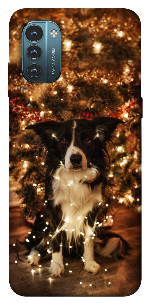 Чохол Christmas dog для Nokia G21