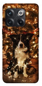 Чохол Christmas dog для OnePlus 10T