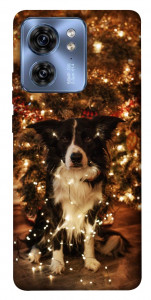 Чехол Christmas dog для Motorola Edge 40