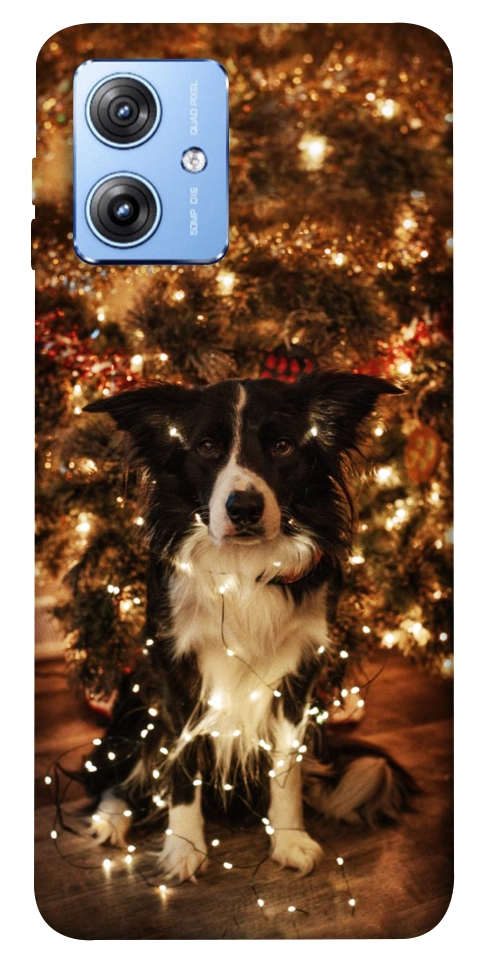 Чехол Christmas dog для Motorola Moto G84