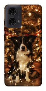 Чехол Christmas dog для Motorola Moto G24